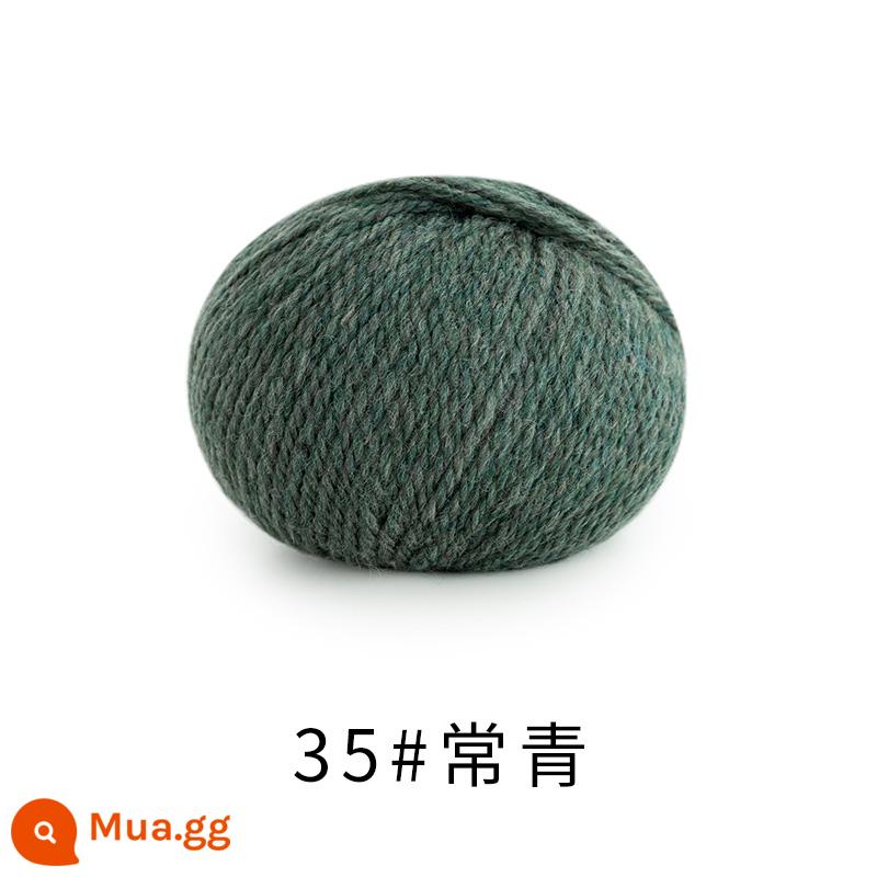 Chị Susu nhà Morandi 8 # Sợi len merino Úc handmade DIY dệt kim khăn mũ len bóng - 35#Thường xanh