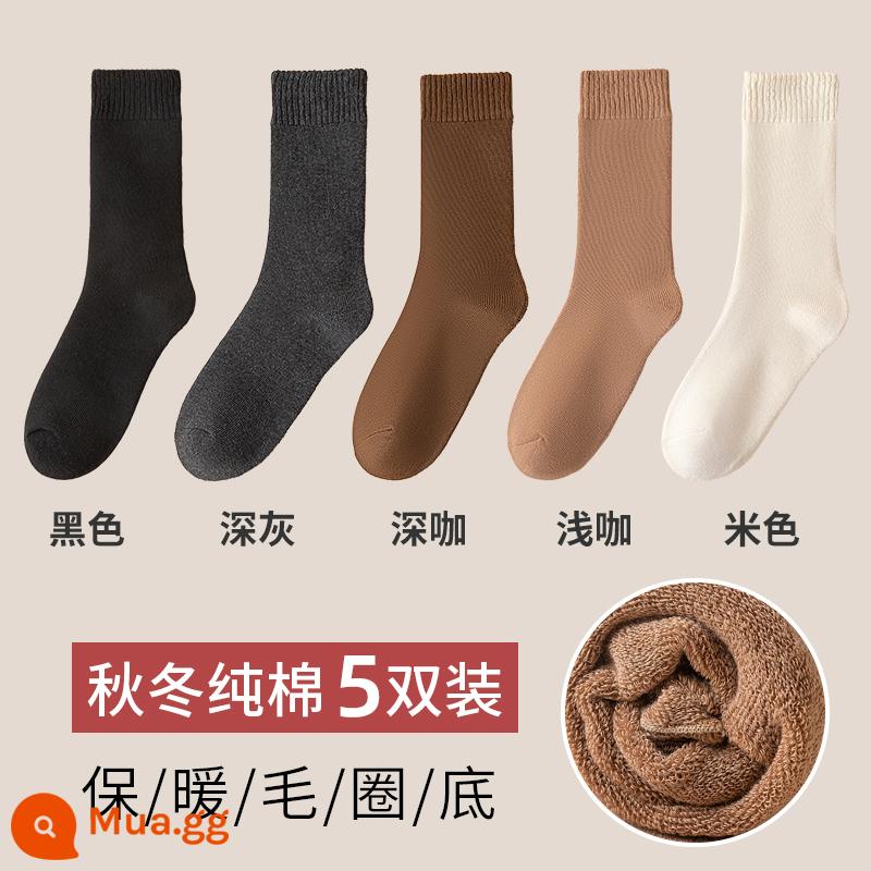 Vớ nữ mùa thu đông vớ bông nhung bông giữa ống dày ấm cotton mùa đông khăn siêu dày vớ - [5 đôi] đen + xám đậm + cà phê đậm + cà phê nhạt + màu be