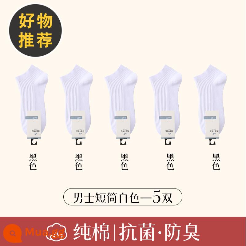 Vớ nam mùa đông 100% sợi cotton vớ ống giữa hút mồ hôi khử mùi đen trắng đôi vớ dày nam - Gói 5 đôi [Tất cao cấp] Trắng