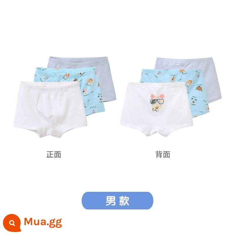 Quần lót boxer trẻ em của Anh dành cho bé gái bé trai Quần lót boxer cho trẻ trung và lớn thoáng khí không có PP kháng khuẩn - Bộ 3 kháng khuẩn siêu mềm (Nam)