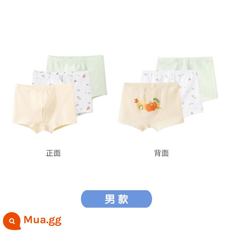 Quần lót boxer trẻ em của Anh dành cho bé gái bé trai Quần lót boxer cho trẻ trung và lớn thoáng khí không có PP kháng khuẩn - Gói 3 vị bạc hà kháng khuẩn (nam)