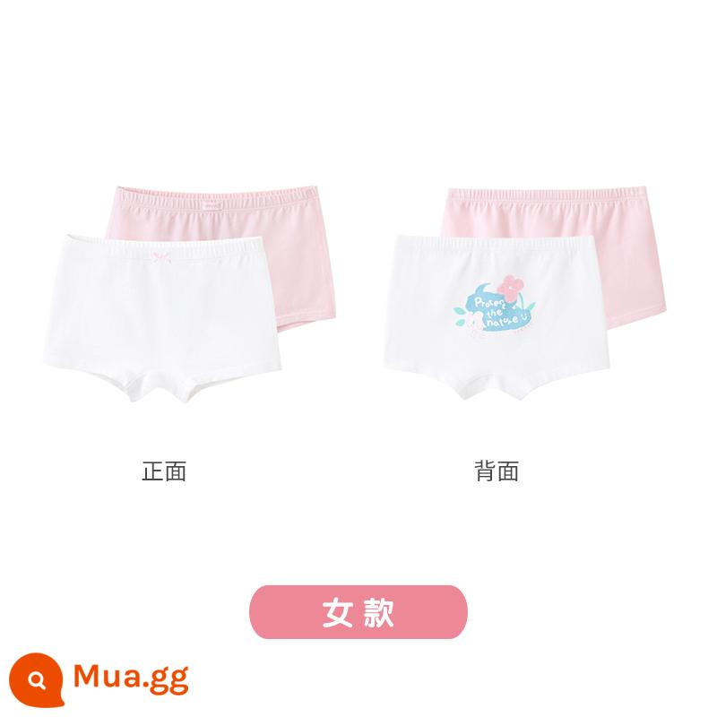 Quần lót boxer trẻ em của Anh dành cho bé gái bé trai Quần lót boxer cho trẻ trung và lớn thoáng khí không có PP kháng khuẩn - Gói 2 kháng khuẩn bạc hà (Nữ)