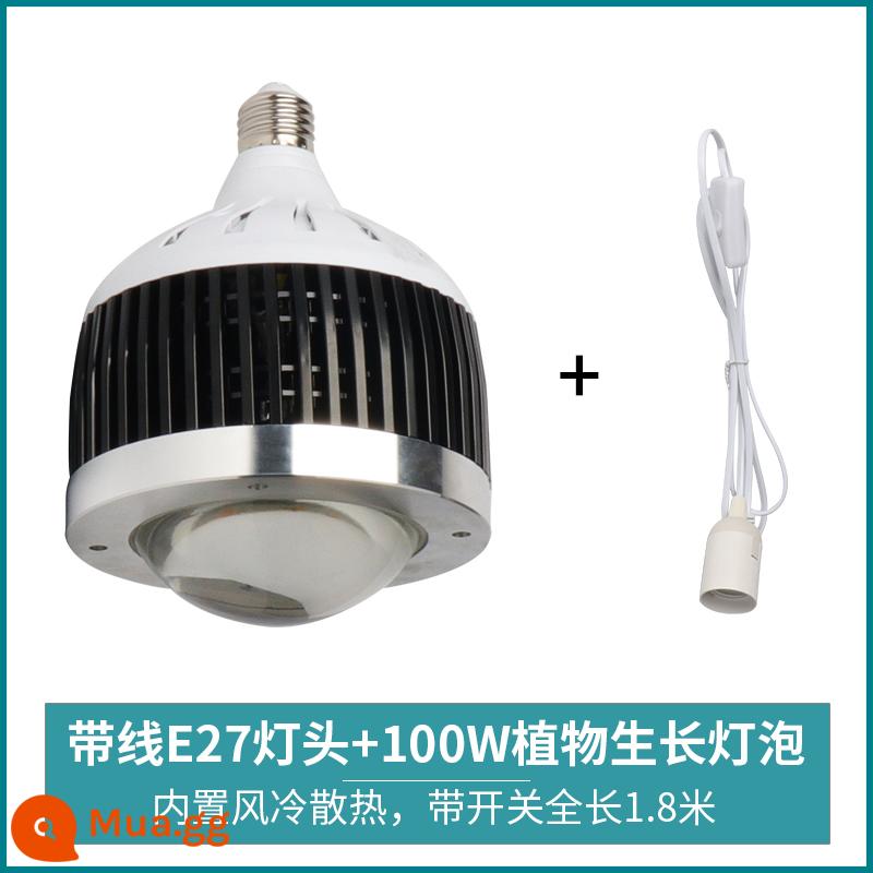 Mọng Nước Lấp Đầy Ánh Sáng Suốt Bóng Đèn Downlight Đặc Biệt Hộ Gia Đình Tô Màu Trong Nhà Giả Mặt Trời Tăng Trưởng Thực Vật Đèn - Bóng đèn tập trung ánh sáng toàn phổ 100w