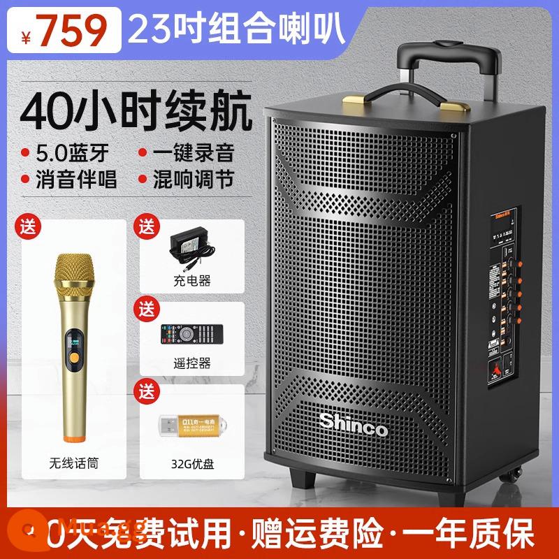 Xinke Vuông Nhảy Âm Thanh Di Động Ngoài Trời Xe Đẩy Hiệu Suất Hát Karaoke Loa Bluetooth Di Động Tại Nhà Âm Lượng Lớn - Loa siêu trầm ba loa 23 inch bằng gỗ + micrô không dây + ổ flash USB 32G