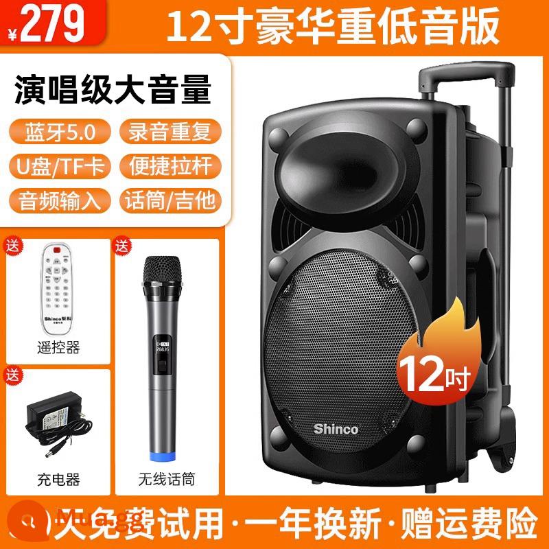 Xinke Vuông Vũ Âm Thanh Karaoke Ngoài Trời Di Động Đòn Bẩy Loa Bluetooth Có Mic Hát Loa Siêu Trầm Hiệu Suất - Loa siêu trầm hàng đầu 12 inch + 1 micrô chuyên nghiệp không dây + điều khiển từ xa