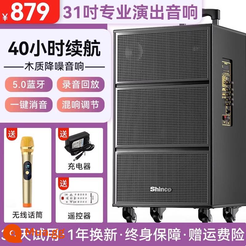 Xinke Vuông Nhảy Âm Thanh Di Động Ngoài Trời Xe Đẩy Hiệu Suất Hát Karaoke Loa Bluetooth Di Động Tại Nhà Âm Lượng Lớn - Loa siêu trầm 5 loa bằng gỗ 31 inch + micro không dây