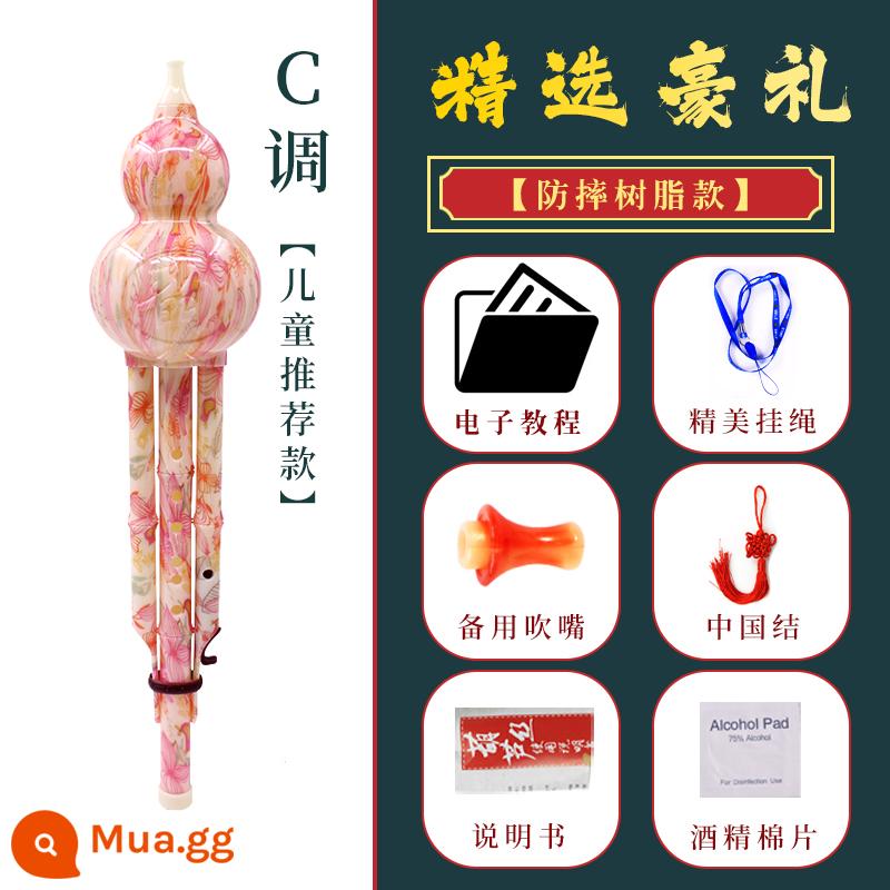 Cửa hàng hàng đầu của nhạc cụ Silk Silk Faster CNTI để giảm B điều chỉnh học sinh tiểu học Children Tiểu học Chân - Cấp đầu vào [màu đào nhựa] Tông C + cấu hình tiêu chuẩn