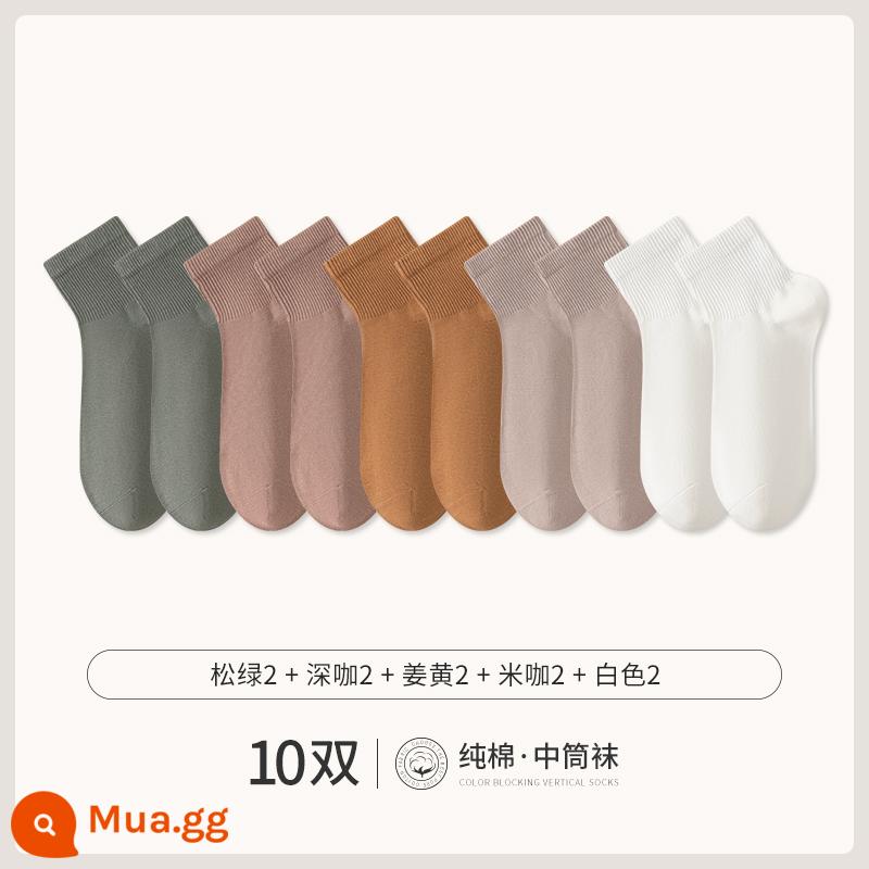 Chư Kỵ Trắng Tất Ngắn Nam Cotton Giữa Ống Tất Mùa Hè Phần Mỏng Đồng Màu Không Xương Khử Mùi Thể Thao Mùa Thu Vớ - [10 đôi] Thông Xanh 2 Cà Phê Đậm 2 Nghệ 2 Cà Phê Gạo 2 Trắng 2