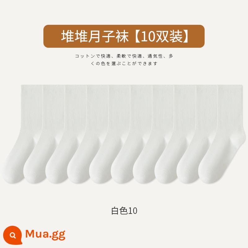 Tất Zhuji Tất bong bóng đen trắng nữ Cotton nguyên chất giữa ống kiểu xuân thu Tất không xương Mùa đông sau sinh Vớ hợp thời trang - Trắng 10