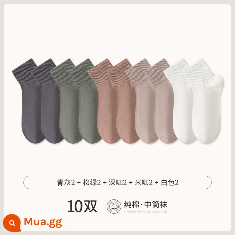 Chư Kỵ Trắng Tất Ngắn Nam Cotton Giữa Ống Tất Mùa Hè Phần Mỏng Đồng Màu Không Xương Khử Mùi Thể Thao Mùa Thu Vớ - [10 đôi] Xanh xám 2 Xanh thông 2 Cà phê đậm 2 Cà phê gạo 2 Trắng 2