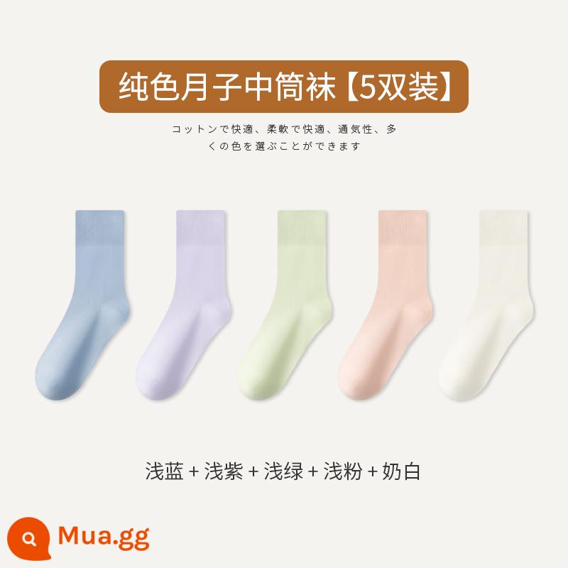 Tất Zhuji Ống Giữa Nữ Phong Cách Xuân Thu Cotton Nguyên Chất Khử Mùi Hợp Thời Trang Màu Đen Trắng Không Xương Sau Sinh Tất Bong Bóng Mùa Hè Tất Dài - [5 đôi tất trơn màu] xanh nhạt, tím nhạt, xanh nhạt, hồng nhạt, trắng sữa