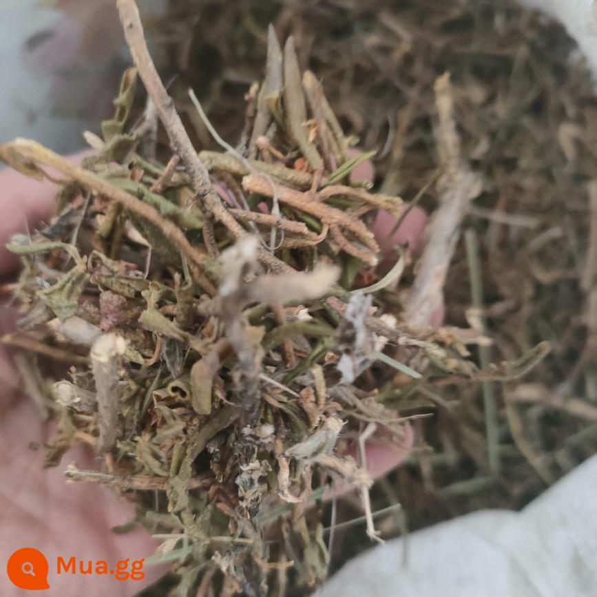 Cao nguyên Tây Tạng Artemisia Gandan Kampa Cành và lá Đỗ quyên nguyên liệu Cành và lá cây bách Bột trầm hương Tây Tạng khói Phật để chưng dâu tằm - Cành và lá đỗ quyên cay 250g 2 cái miễn phí vận chuyển