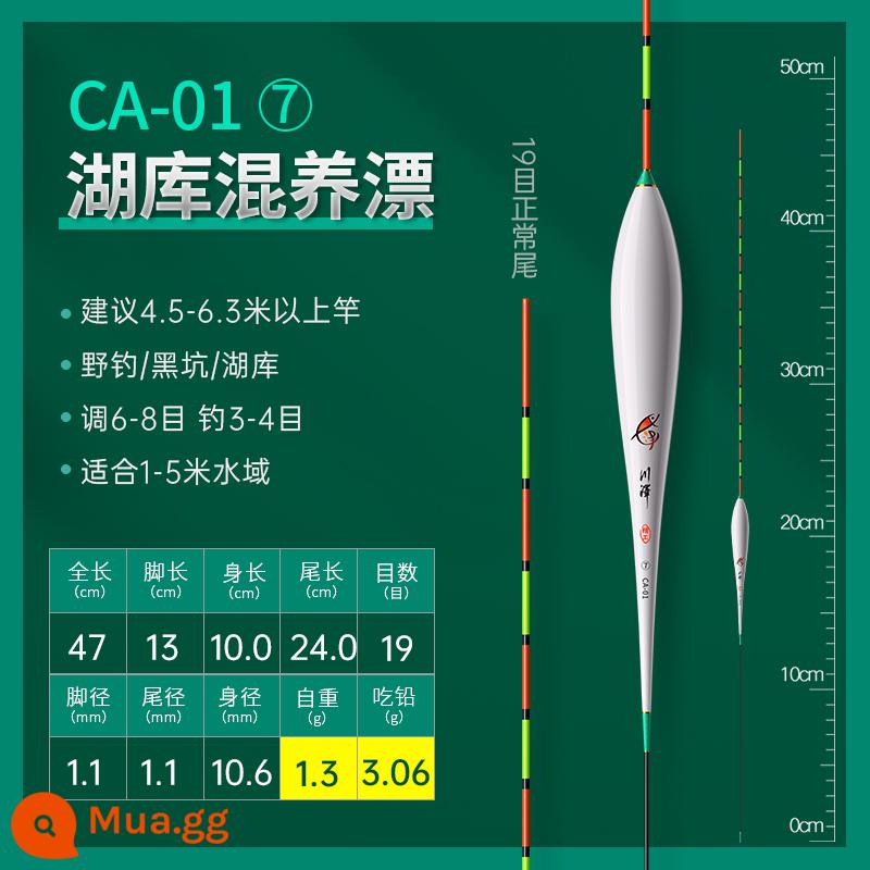 Chuanze mùa xuân câu cá ánh sáng miệng nhỏ bị phá vỡ mắt cá diếc phao nổi nano độ nhạy cao bắt mắt phao chống gió và sóng chống trôi nước - [Số 7] Ăn chì ≈ Câu cá đáy nước sâu 3,06 gram (đuôi mịn 19 lưới)