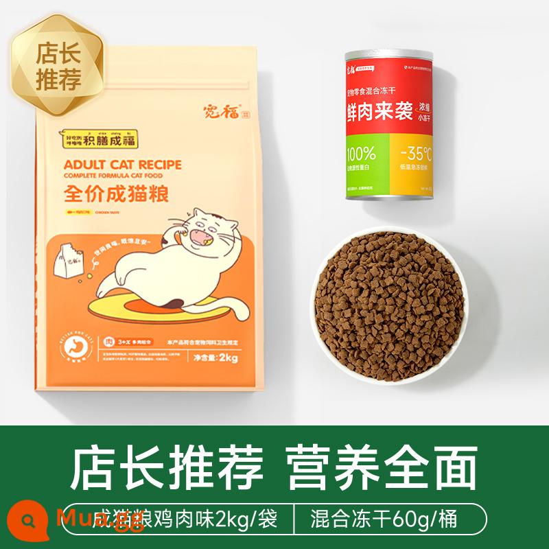 Kuanfu Cat Grain Cat Dinh dưỡng mèo béo mèo con toàn cầu Handiculum 2kg 20 Anh ngắn quỷ 10 pounds - Vị gà 2kg thức ăn cho mèo + đông khô 60g [mỡ và mang, dinh dưỡng toàn diện]