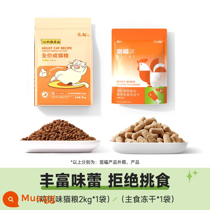 Kuanfu Cat Grain Cat Dinh dưỡng mèo béo mèo con toàn cầu Handiculum 2kg 20 Anh ngắn quỷ 10 pounds - 1 túi thực phẩm đông lạnh cấp thực phẩm chủ yếu + 2kg thức ăn cho mèo vị gà [bạn đồng hành thực phẩm hỗn hợp không kén ăn]