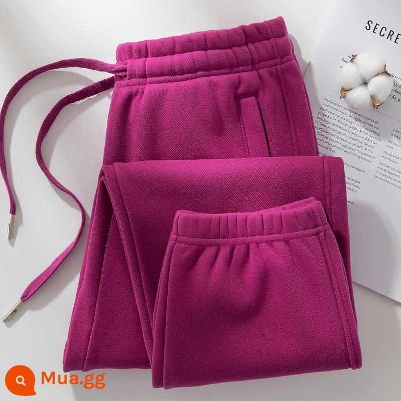 Quần cotton thể thao nữ xuân thu 2024 mới màu xám nhạt cotton cỡ lớn thường ngày mùa đông nhung quần legging dài thấm hút mồ hôi - Thanh long (quần nhung)