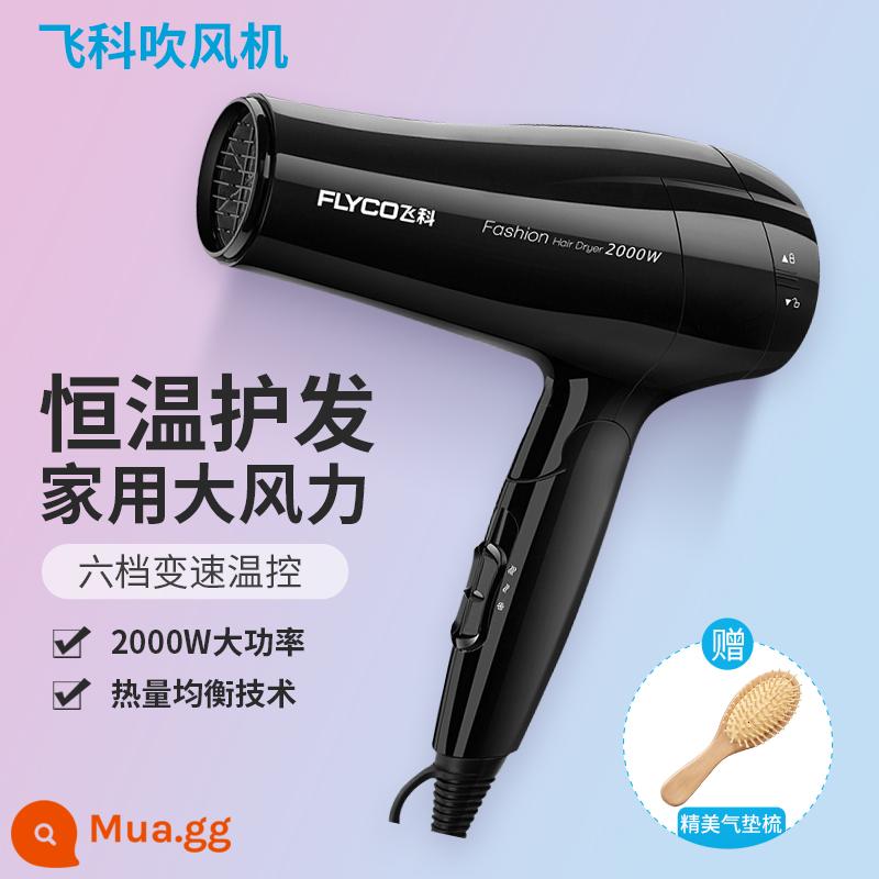 Máy Sấy Tóc Feike Hộ Gia Đình Công Suất Cao 2000W Nhiệt Độ Không Đổi Ion Âm Chăm Sóc Tóc Tắt Tiếng Nhanh Khô Tóc Salon Máy Sấy Tóc Đặc Biệt - Lược đệm khí FH6231+