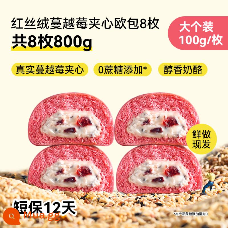 Chuji Whole Wheat Túi Châu Âu Hương vị sô cô la Bữa sáng ít chất béo Trừ 0 Bánh mì Sandwich Ngũ cốc khác Thẻ hộp đầy đủ FCL Thực phẩm làm no bằng không - Bánh sandwich nam việt quất túi châu Âu 100g * 8 miếng