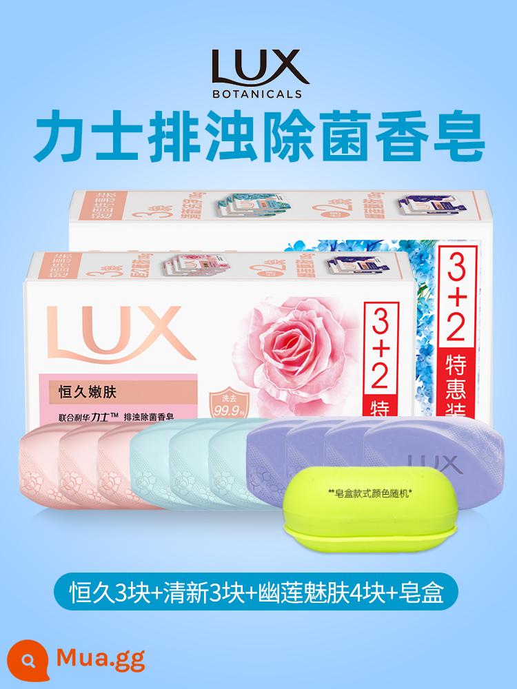 Xà phòng lux tinh dầu hoa hồng trẻ hóa da lâu dài Youlian charm skin xà phòng ẩm mượt nam nữ tắm rửa mặt - [Tổng cộng 10 miếng] 3 miếng bền lâu + 3 miếng tươi + 4 miếng Youlian + Hộp xà phòng