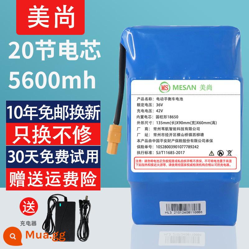 Điện Xe Cân Bằng Pin 36V Đặc Biệt Đa Năng Arlang Song Song Xe Lithium Bộ Pin 42V Lingola Zola 5 - Pin Meishang Power kéo dài 800 phút [thay thế 10 năm một lần] + bộ sạc