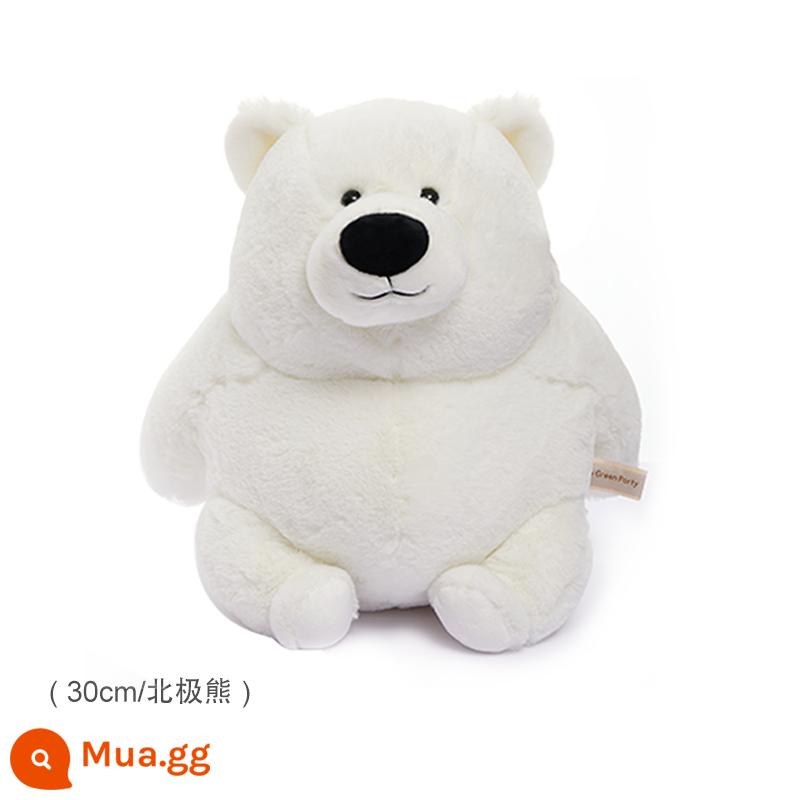 TheGreenParty Plush Doll Chubby Bear Girl Món quà sinh nhật Teddy Bear Kids Plush Doll - Gấu bắc cực béo 30cm