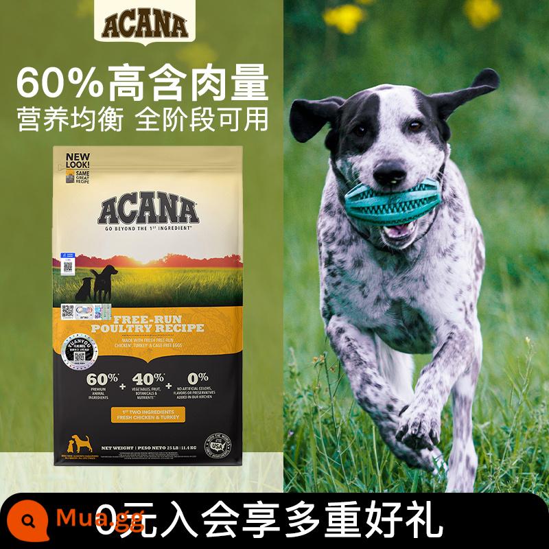 ACANA Aikena Classic Farm Hương Vị Gà Thức Ăn Cho Chó Con Trưởng Thành Loại Phổ Nhập Khẩu Nguyên Con Thức Ăn Cho Chó 11.4Kg - [Liên hệ bộ phận chăm sóc khách hàng để tham gia và tiết kiệm 20%] Thức ăn cho chó Prairie Poultry 11.4kg Hiệu lực: 2024-01-04