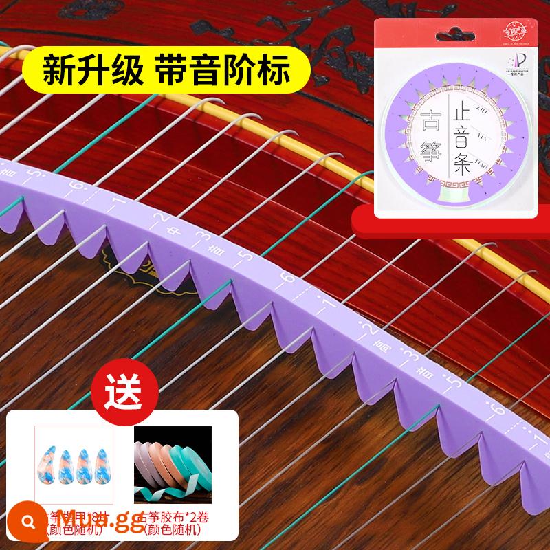 Guzheng dải hấp thụ âm thanh cao su silicon dải tắt tiếng dải hấp thụ âm thanh dải hấp thụ âm thanh hấp thụ âm thanh hấp thụ âm thanh thần giảm thanh bông giảm thanh - [Có tỷ lệ] Dải câm silicon màu tím + tiền thưởng