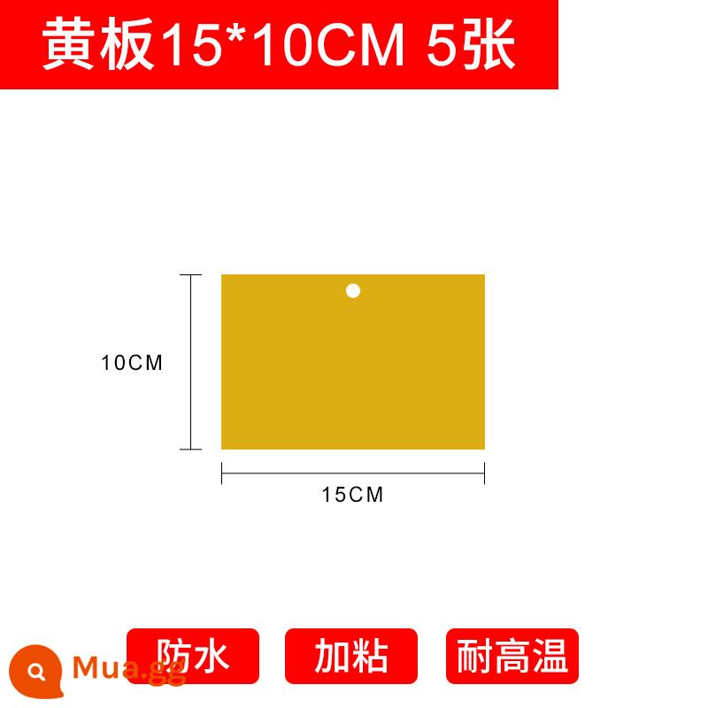 Dính bảng côn trùng nhà kính bảng màu vàng đặc biệt hai mặt ruồi đen nhỏ bẫy ruồi giấm bẫy côn trùng bảng nhãn dán hộ gia đình nông nghiệp bọ trĩ - Bảng vàng 15×10cm 5 tờ (gói dùng thử)