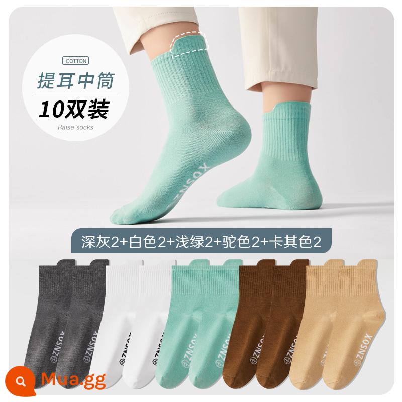 Vớ nam nam -tube dài dài polyester polyester mùa thu mùa thu và mùa đông chống mồ hôi hấp thụ các chàng trai - [10 đôi] Xám đậm 2 trắng 2 xanh nhạt 2 lạc đà 2 kaki 2