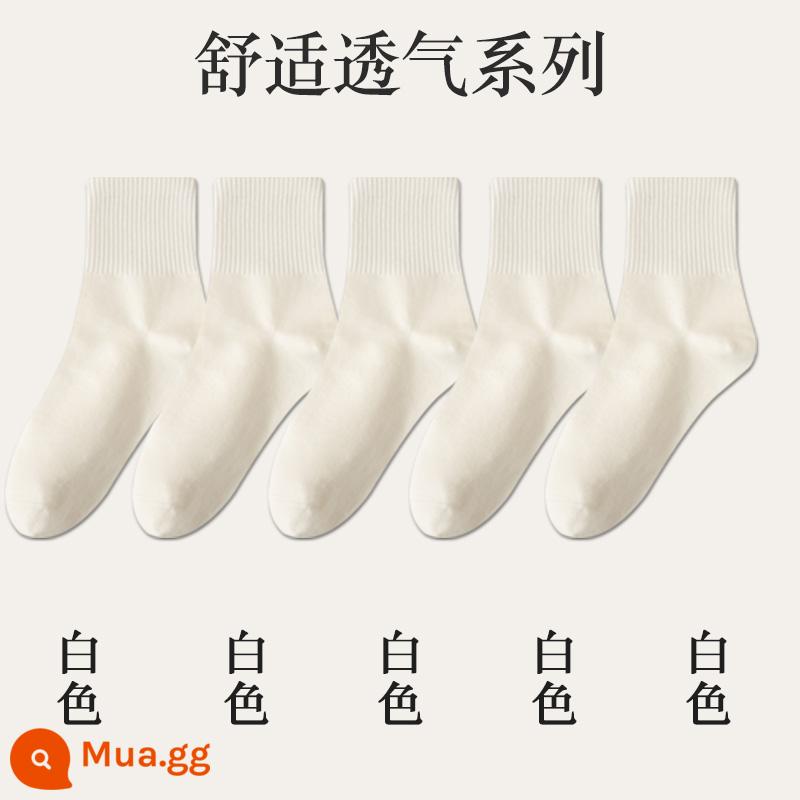 Vớ đen trắng vớ thể thao không xương dành cho nữ vớ tàng hình xuân hạ thu vớ cotton không nguyên chất ống giữa ins triều Nhật Bản - 5 trắng