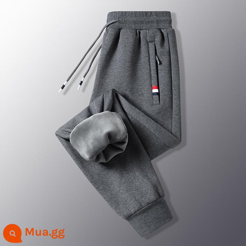 Cotton Nguyên Chất Plus Nhung Dày Ấm Quần Tây Nam Thu Đông Plus Nhung Áo Khoác Ngoài Quần Cotton Thể Thao - (nhung) xám 1688SJ