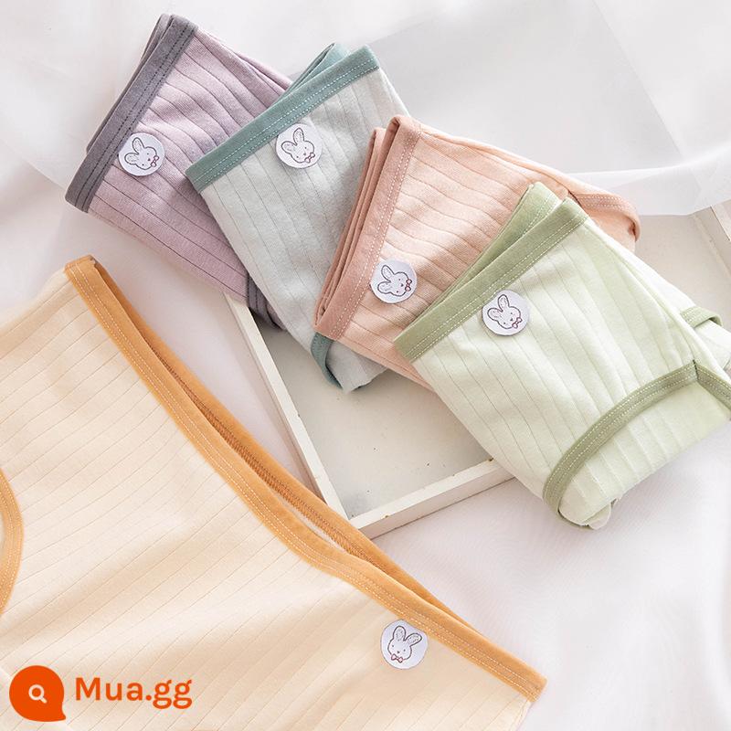 Quần lót cotton cho bé gái từ trung tuổi trở lên quần an toàn quần sịp cotton cho bé gái 100% cotton kháng khuẩn 12-15 tuổi - Bộ Macaron 5 Món Mới