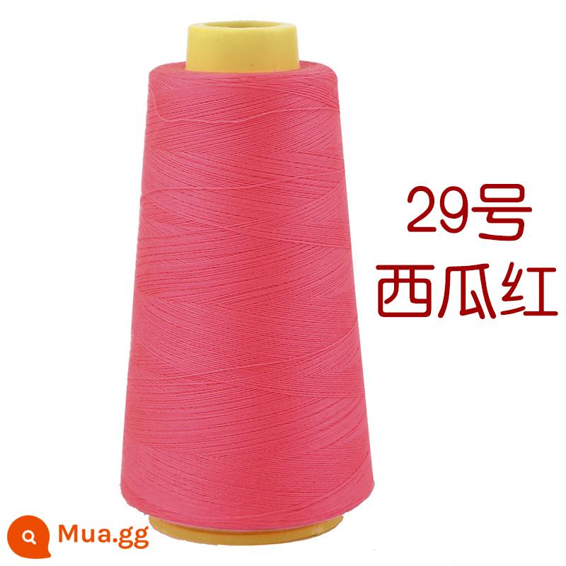 Hộ gia đình polyester fiber thread đường may thủ công đường chỉ may đường chỉ đen đường chỉ trắng bộ kim chỉ cuộn nhỏ đường chỉ may 402 đường chỉ may tay màu đỏ - Dưa Hấu Đỏ (2000m/cuộn)