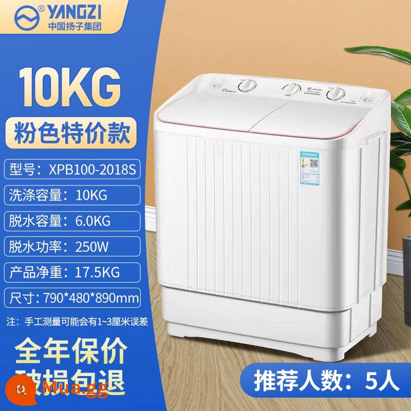 Yangzi Group máy giặt bán tự động gia đình 10kg xi lanh đôi khe công suất lớn thanh xi lanh đôi cho thuê ký túc xá nhỏ - 10kg hồng giá đặc biệt (do giám đốc xưởng đề xuất)