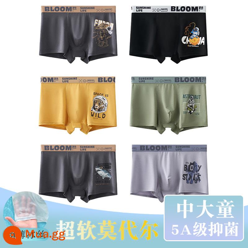 Thiếu niên trung và lớn trẻ em quần lót boxer quần lót trẻ em cậu bé mập cộng mỡ cộng cotton nguyên chất lụa băng phương thức - 584+585+586 (6 dải kháng khuẩn modal)