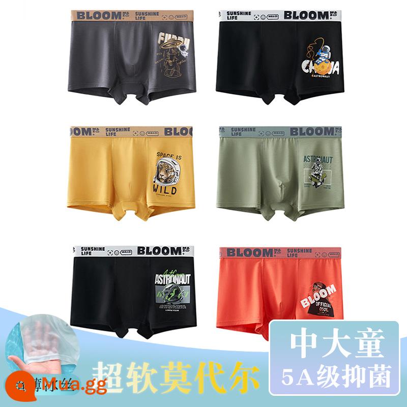 Thiếu niên trung và lớn trẻ em quần lót boxer quần lót trẻ em cậu bé mập cộng mỡ cộng cotton nguyên chất lụa băng phương thức - 584+585+587 (6 dải kháng khuẩn modal)