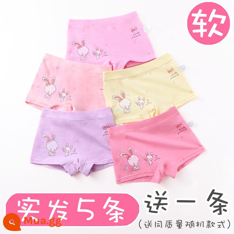 Quần lót trẻ em bé gái boxer cotton nguyên chất 100% cotton bốn góc cho bé trung niên và bé gái quần đùi mỏng mùa hè - 5506 (1 vật phẩm ngẫu nhiên sẽ được gửi, 5 vật phẩm sẽ được gửi)