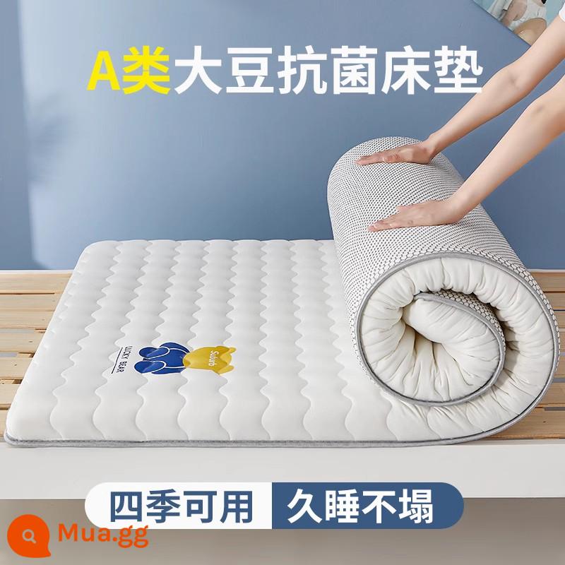 Nệm đậu nành loại A ký túc xá sinh viên chuyên dụng tatami đơn đệm mềm cho thuê nhà nệm thảm ngủ sàn - Gấu nhỏ - màu trắng - dày khoảng 6cm (Kháng khuẩn loại A, dùng được mọi mùa)