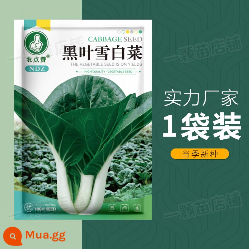 Bốn Mùa Nam Kinh Lùn Hạt cải dầu vàng Hạt giống rau Bộ sưu tập hạt giống rau xanh Hạt giống bắp cải Trung Quốc Sữa Hạt giống bắp cải Ban công - 5 gam cải tuyết lá đen [có thể trồng vào vụ xuân hạ thu]