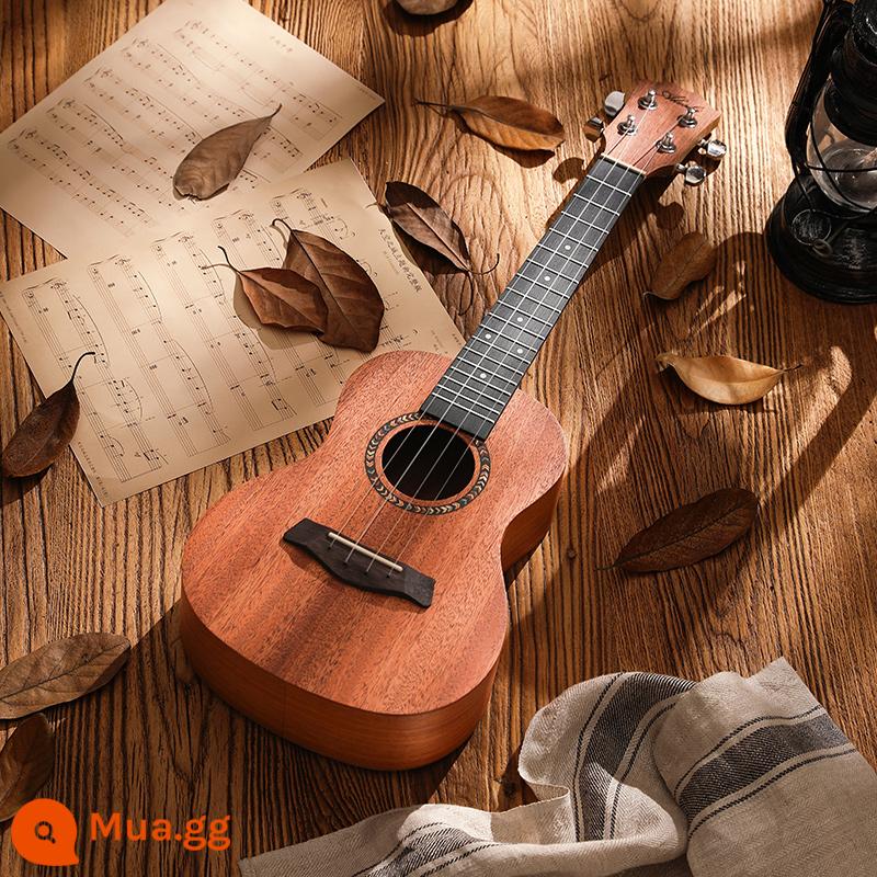 Akeshi eukery bắt đầu bắt đầu thiết bị nữ thiết bị eukry cửa hàng guitar nhỏ thực hiện giá trị cao - [Ván ép] Màu gỗ nguyên khối 23 inch + gói quà tặng + hướng dẫn