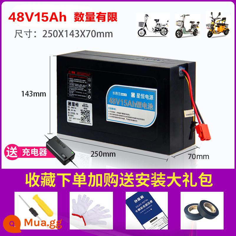 Pin Lithium Xinngheng 48v12ah15AhJ Nguồn Xanh Ngày Mới Emaya Digiant Xe Điện Pin Lithium 48V - 48V15Ah với bộ sạc 2A