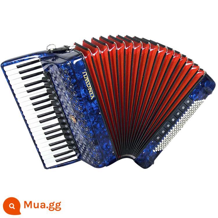 Vẹt Accordion 8/32/48/60/96/120 Bass Ba hoặc Bốn Hàng Lò Xo Phím Accordion dành cho Người Mới Bắt Đầu Chơi - 120 bass 4 hàng lò xo 9968 xanh