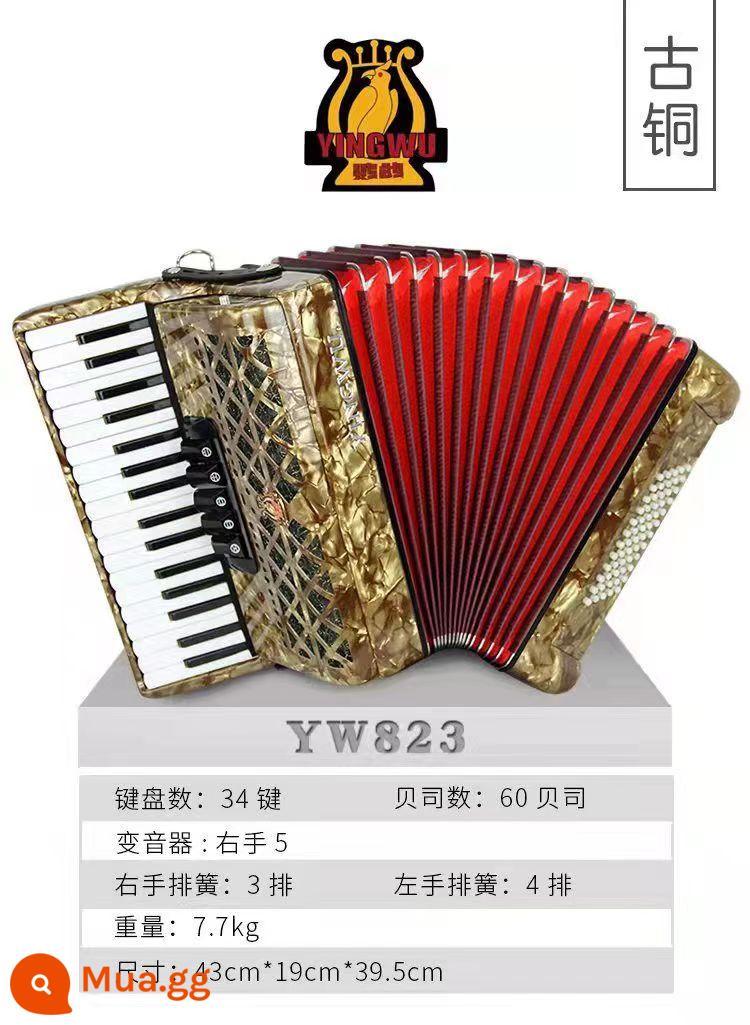 Vẹt Accordion 8/32/48/60/96/120 Bass Ba hoặc Bốn Hàng Lò Xo Phím Accordion dành cho Người Mới Bắt Đầu Chơi - 60 bass đồng YW-823