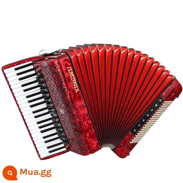 Vẹt Accordion 8/32/48/60/96/120 Bass Ba hoặc Bốn Hàng Lò Xo Phím Accordion dành cho Người Mới Bắt Đầu Chơi - 120 bass 4 hàng lò xo 9968 đỏ