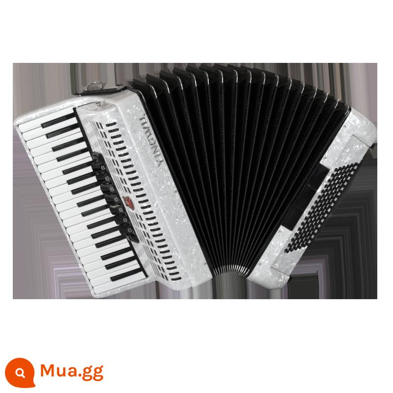 Vẹt Accordion 8/32/48/60/96/120 Bass Ba hoặc Bốn Hàng Lò Xo Phím Accordion dành cho Người Mới Bắt Đầu Chơi - 96 âm trầm trắng YW-871