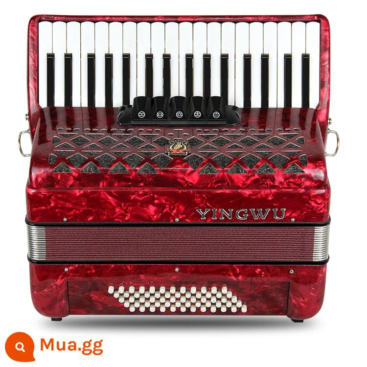 Vẹt Accordion 8/32/48/60/96/120 Bass Ba hoặc Bốn Hàng Lò Xo Phím Accordion dành cho Người Mới Bắt Đầu Chơi - 60 trầm đỏ YW-823