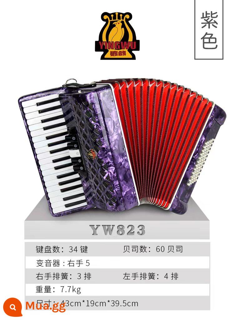 Vẹt Accordion 8/32/48/60/96/120 Bass Ba hoặc Bốn Hàng Lò Xo Phím Accordion dành cho Người Mới Bắt Đầu Chơi - 60 trầm tím YW-823