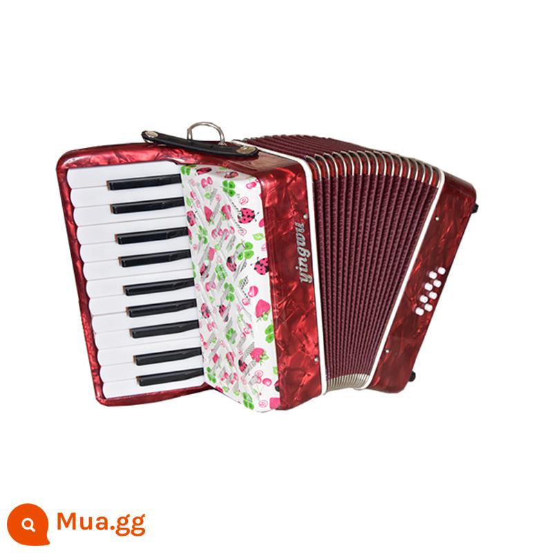 Vẹt Accordion 8/32/48/60/96/120 Bass Ba hoặc Bốn Hàng Lò Xo Phím Accordion dành cho Người Mới Bắt Đầu Chơi - Đàn Accordion 8 Bass cho trẻ em