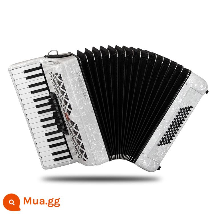 Vẹt Accordion 8/32/48/60/96/120 Bass Ba hoặc Bốn Hàng Lò Xo Phím Accordion dành cho Người Mới Bắt Đầu Chơi - 60 bass trắng YW-823