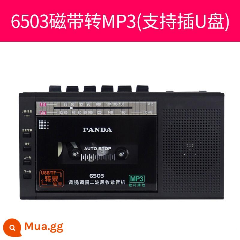 Panda 6503 Băng Máy Nghe Nhạc Walkman Walkman Cổ Hoài Cổ Bộ Sưu Tập Máy Băng Cassette Máy Nghe Nhạc Đĩa Đơn - Phiên âm băng đen 6503